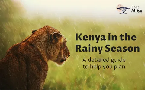The Rainy Season in Kenya - Detailed Guide for Tourists