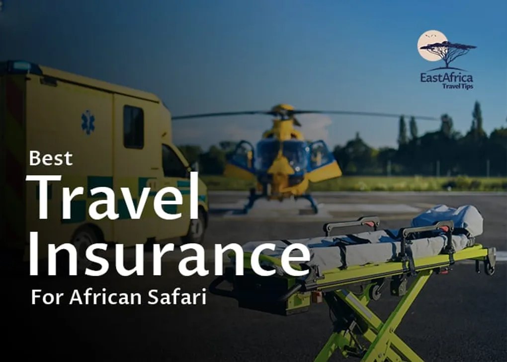Best Travel Insurance for an African Safari