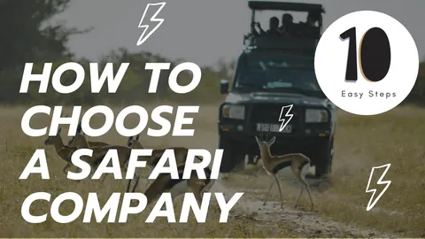 How to Choose a Safari Company in 10 Easy Steps
