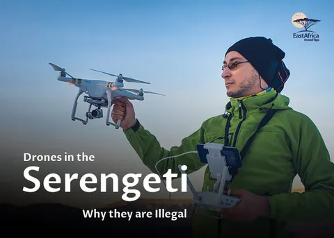 Drones in the Serengeti: Why They are NOT Allowed