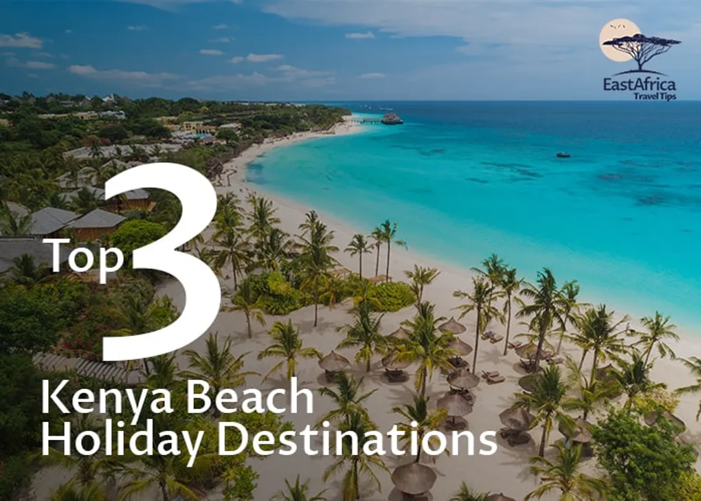 Top 3 Kenya Safari Beach Holiday Destinations & Pros and Cons of Each