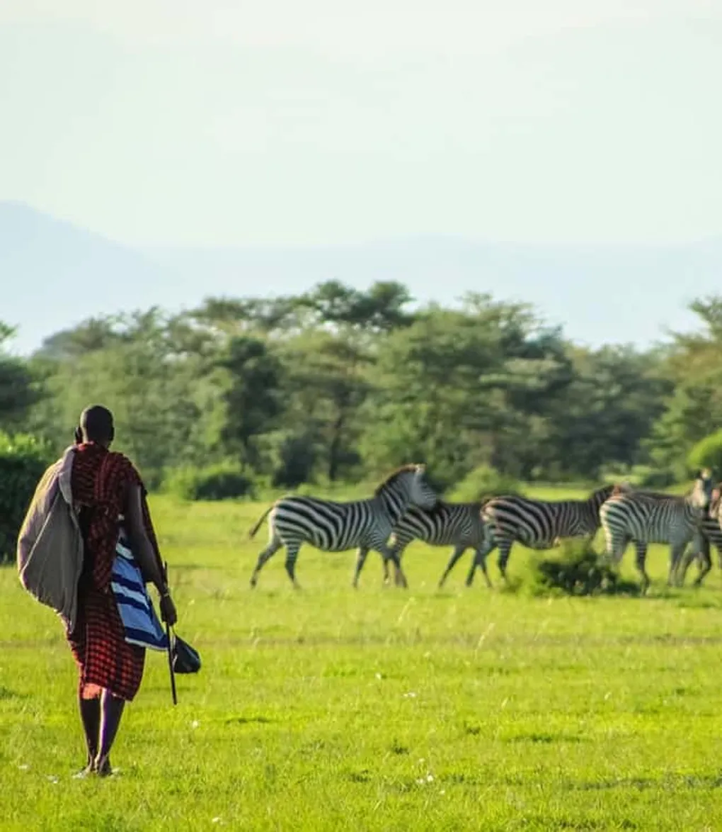 Here's How Much It Costs To Visit The Serengeti