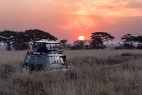 Why You Shouldn't Take a Taxi From Nairobi to Masai Mara