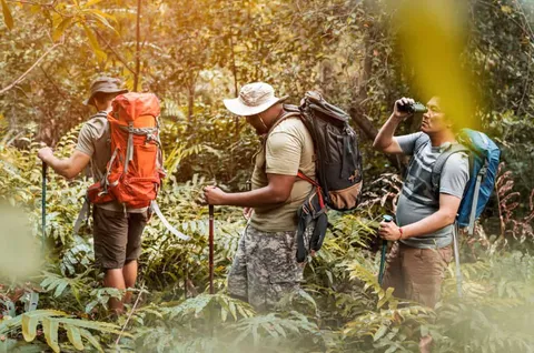 Can an Average Person Climb Mt Kilimanjaro