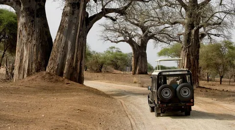 Nairobi to Masai Mara - Choosing The Best Way to Get There