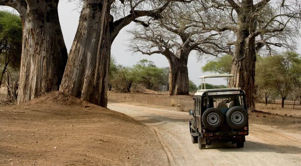 Nairobi to Masai Mara - Choosing The Best Way to Get There