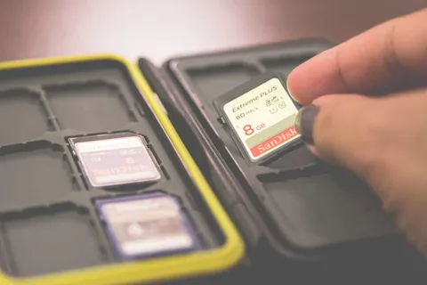 Memory Cards Needed for Safari (What I found Surprised Me)